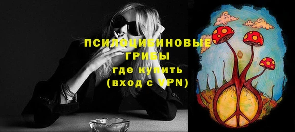 бошки Каменка