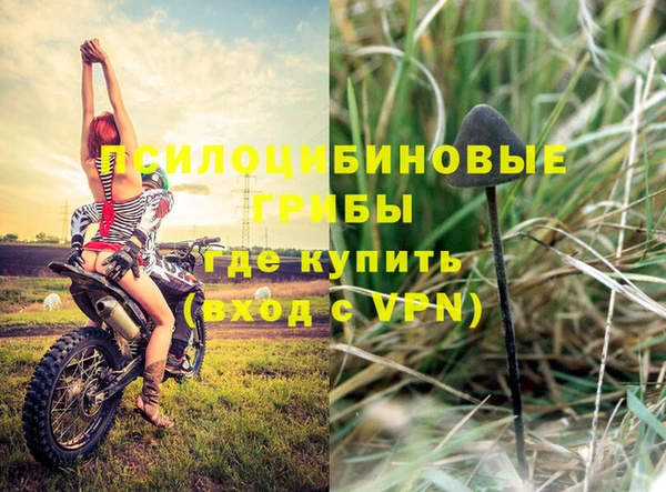 бошки Каменск-Шахтинский