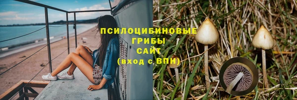бошки Каменск-Шахтинский