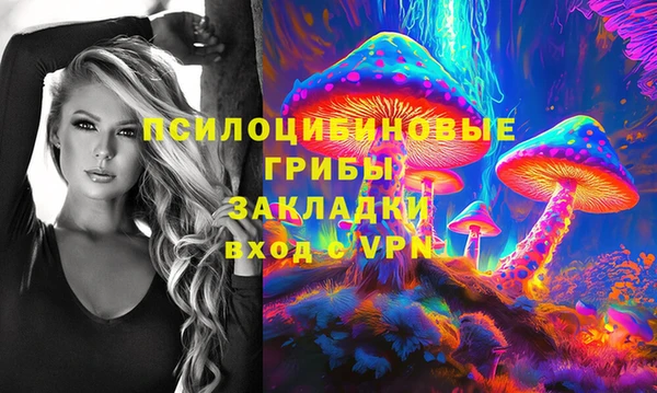 бошки Каменка