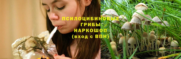 бошки Каменка