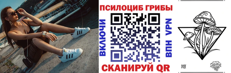 Галлюциногенные грибы мицелий Купить закладки Славгород